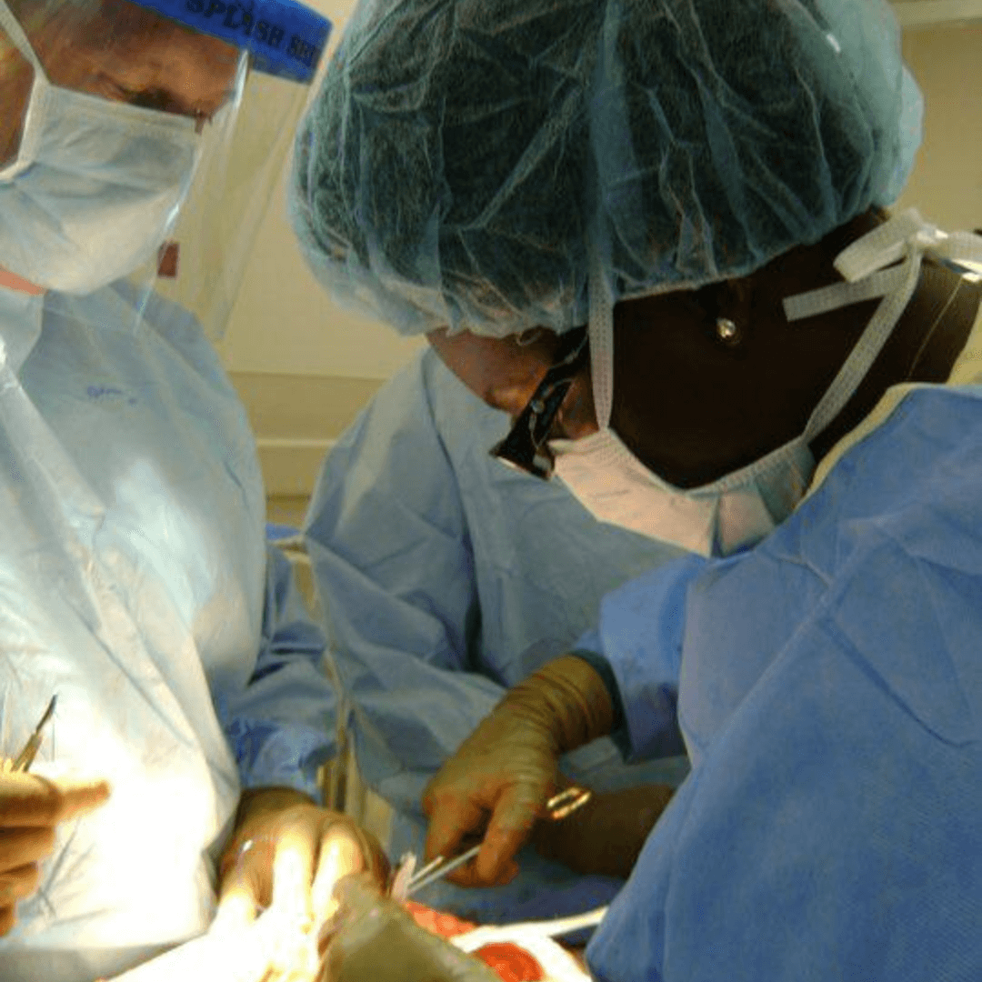 Home - Society of Black Colon and Rectal Surgeons 11